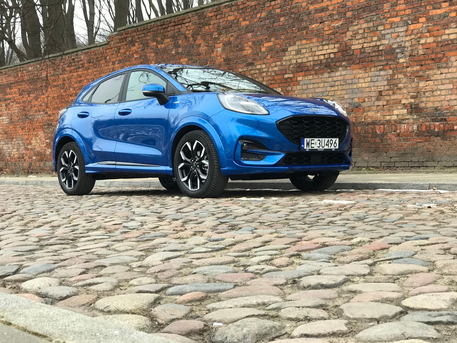 Niebieski Ford Puma stoi na brukowanej ulicy przed ceglanym murem i nagimi drzewami.
