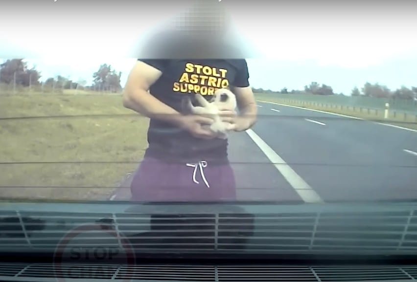 Uratował kotka na drodze S5 i został bohaterem. Fot. Stop Cham/YouTube