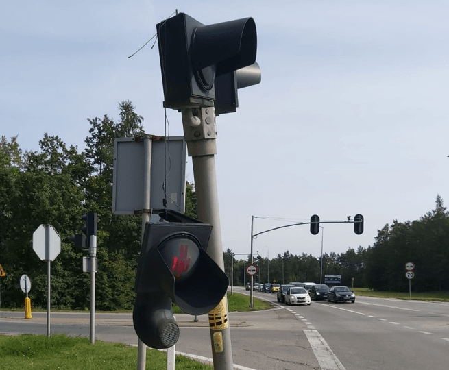 Pająk usiadł na nodze kierującej. Fot. Policja Wejherowo