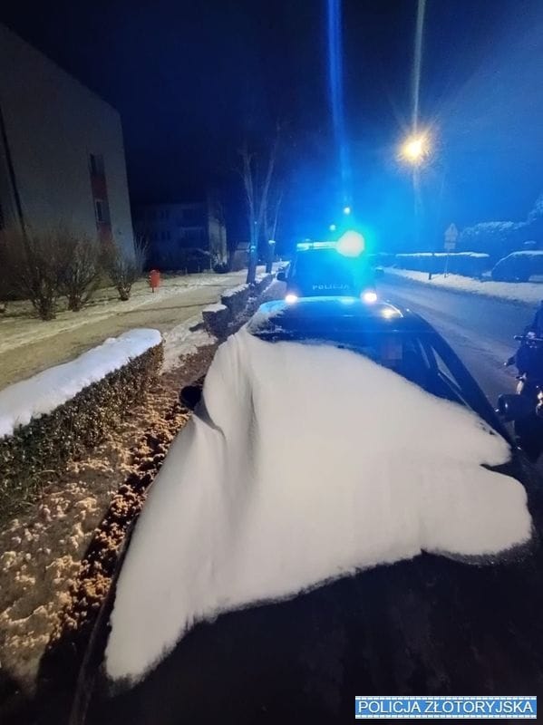 Policjanci nie mieli litości. Fot. Policja w Złotoryi
