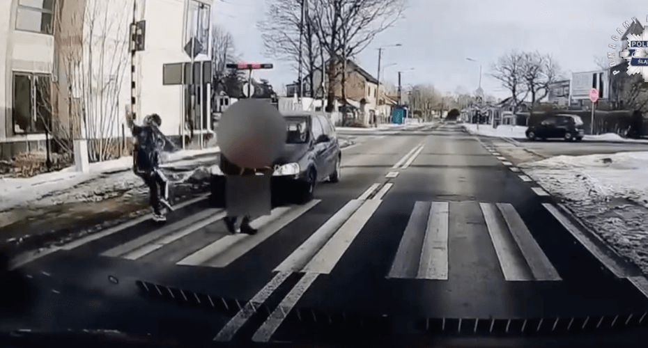 Fot. Śląska Policja/Facebook