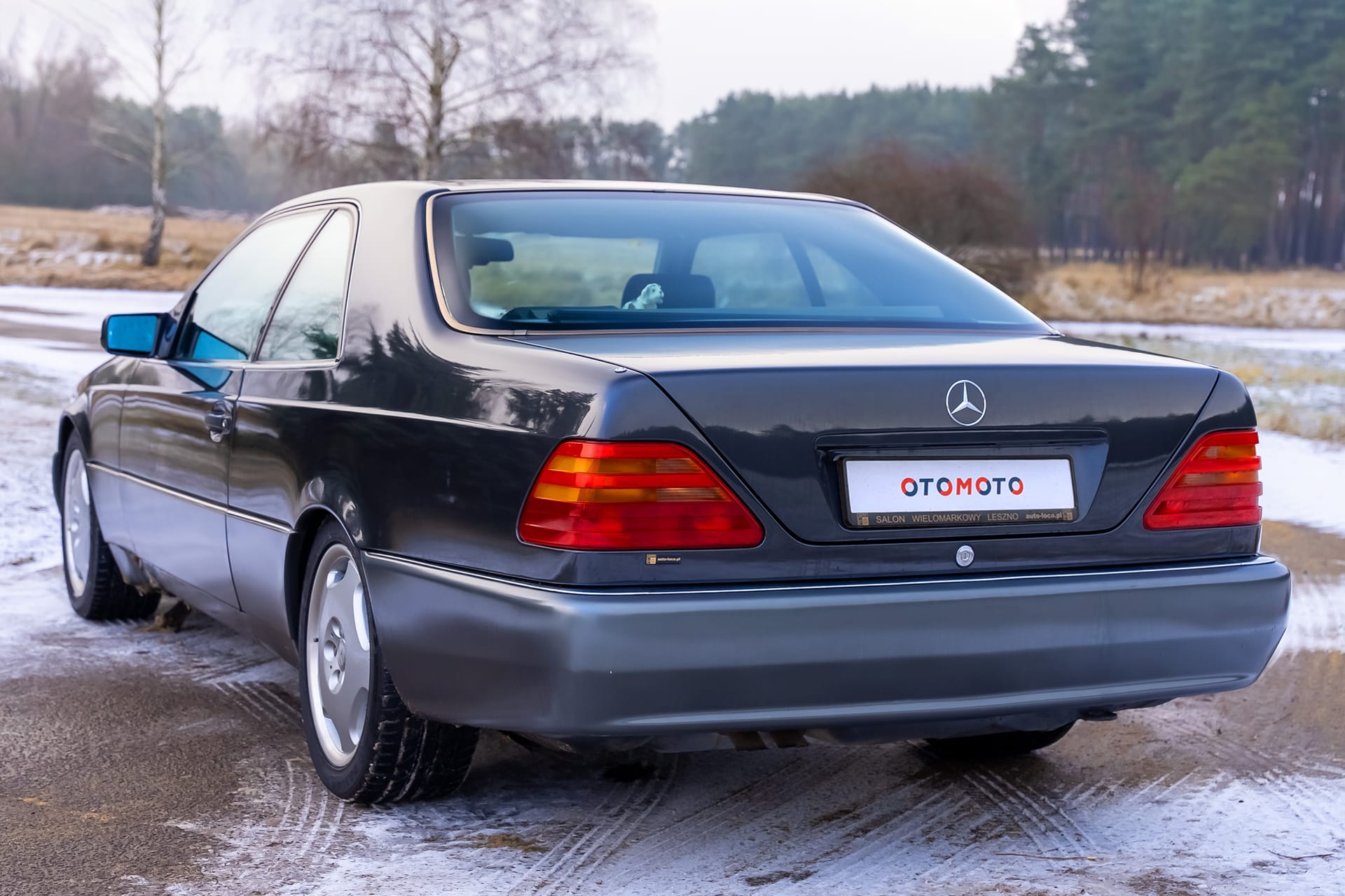Mercedes CL500 W140 (C140) tył