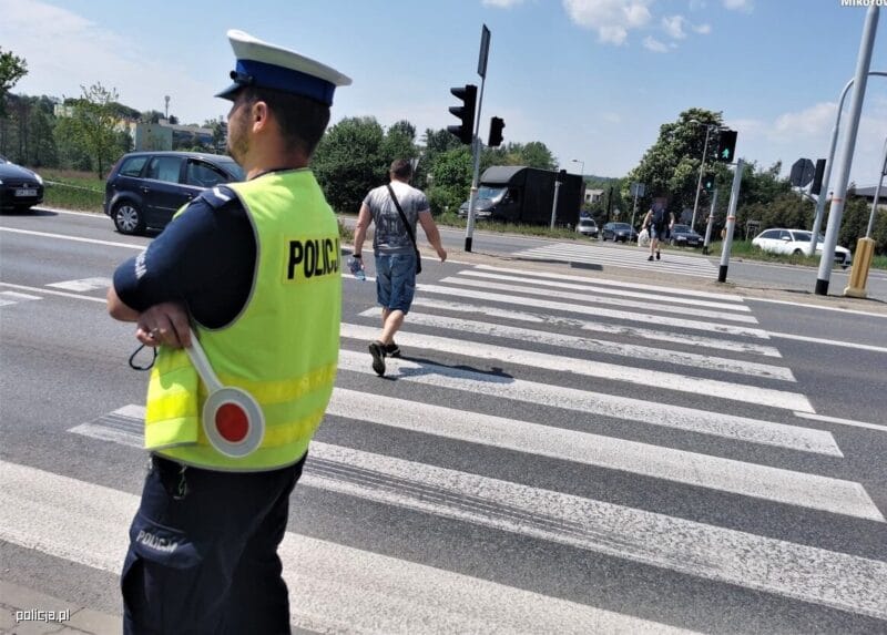 policjant przejście dla pieszych zebra lizak