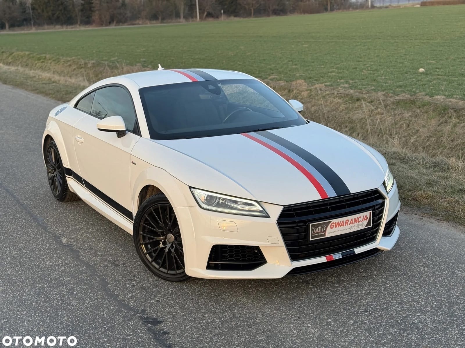 Audi TT używane