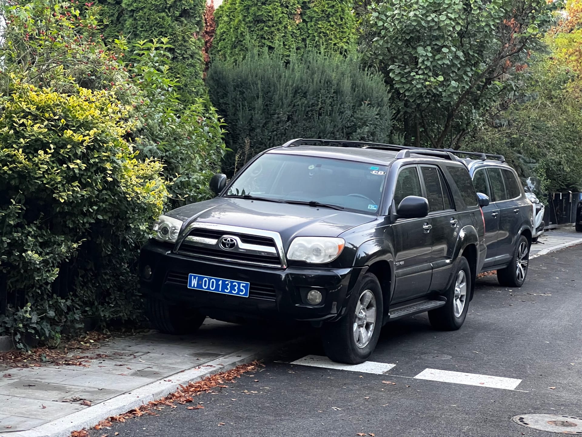auto dyplomatyczne