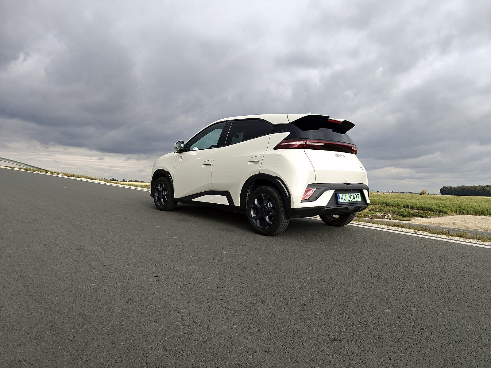 BYD Dolphin Surf