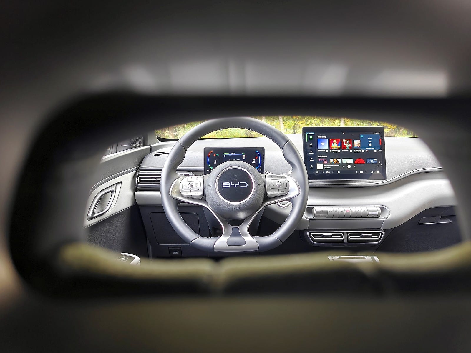 BYD Dolpgin Surf