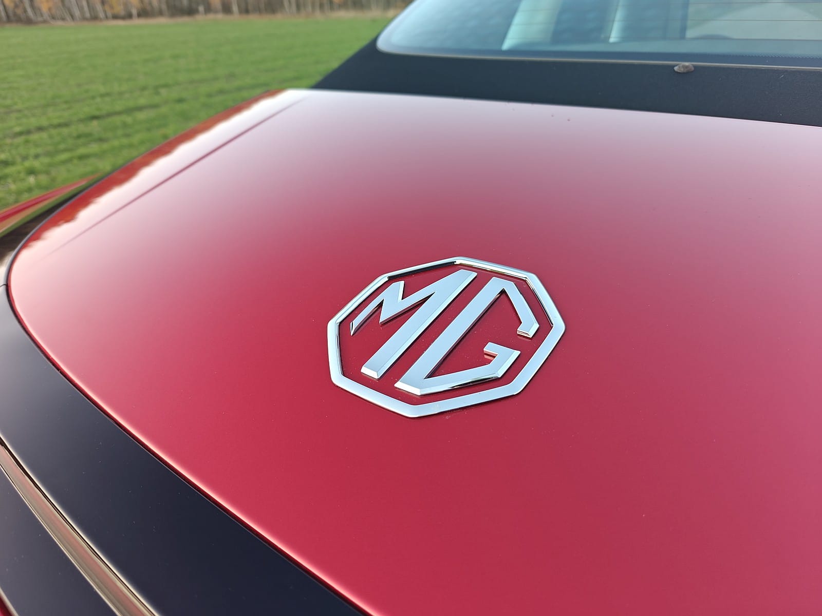 ACEA MG logo