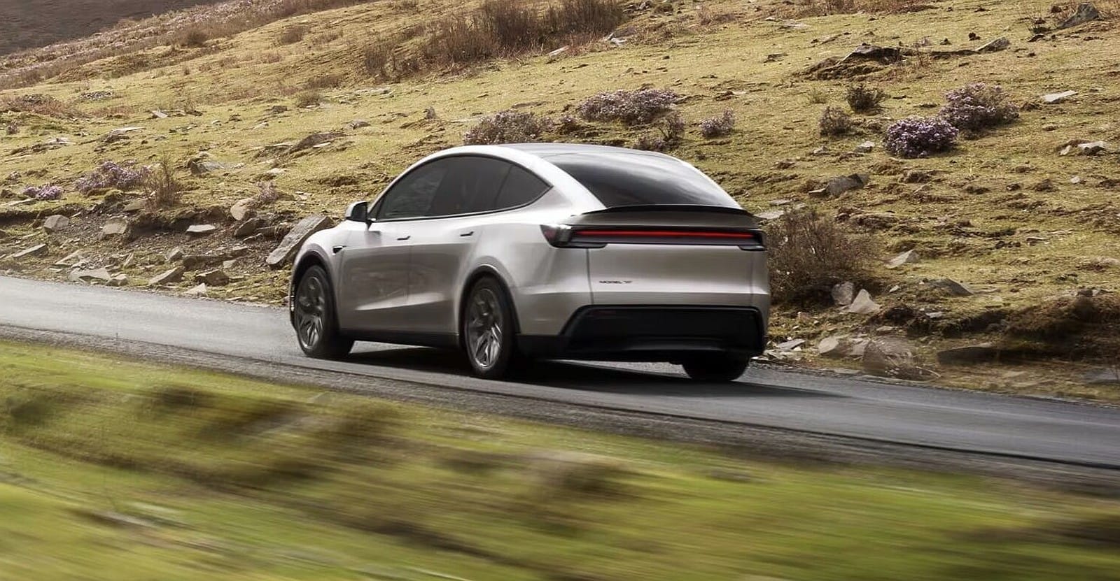 Tesla Model Y L