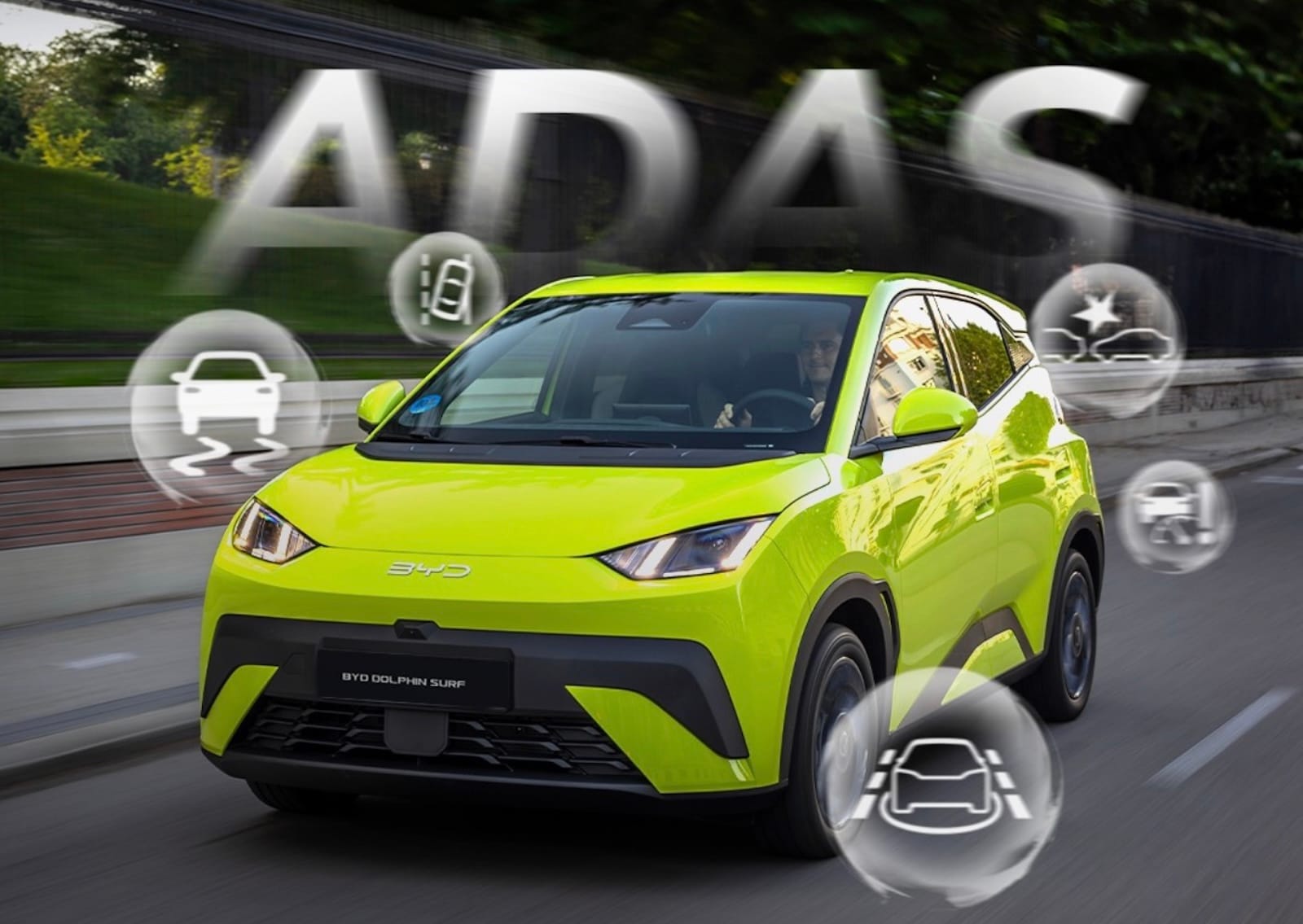 BYD vs Stellantis
