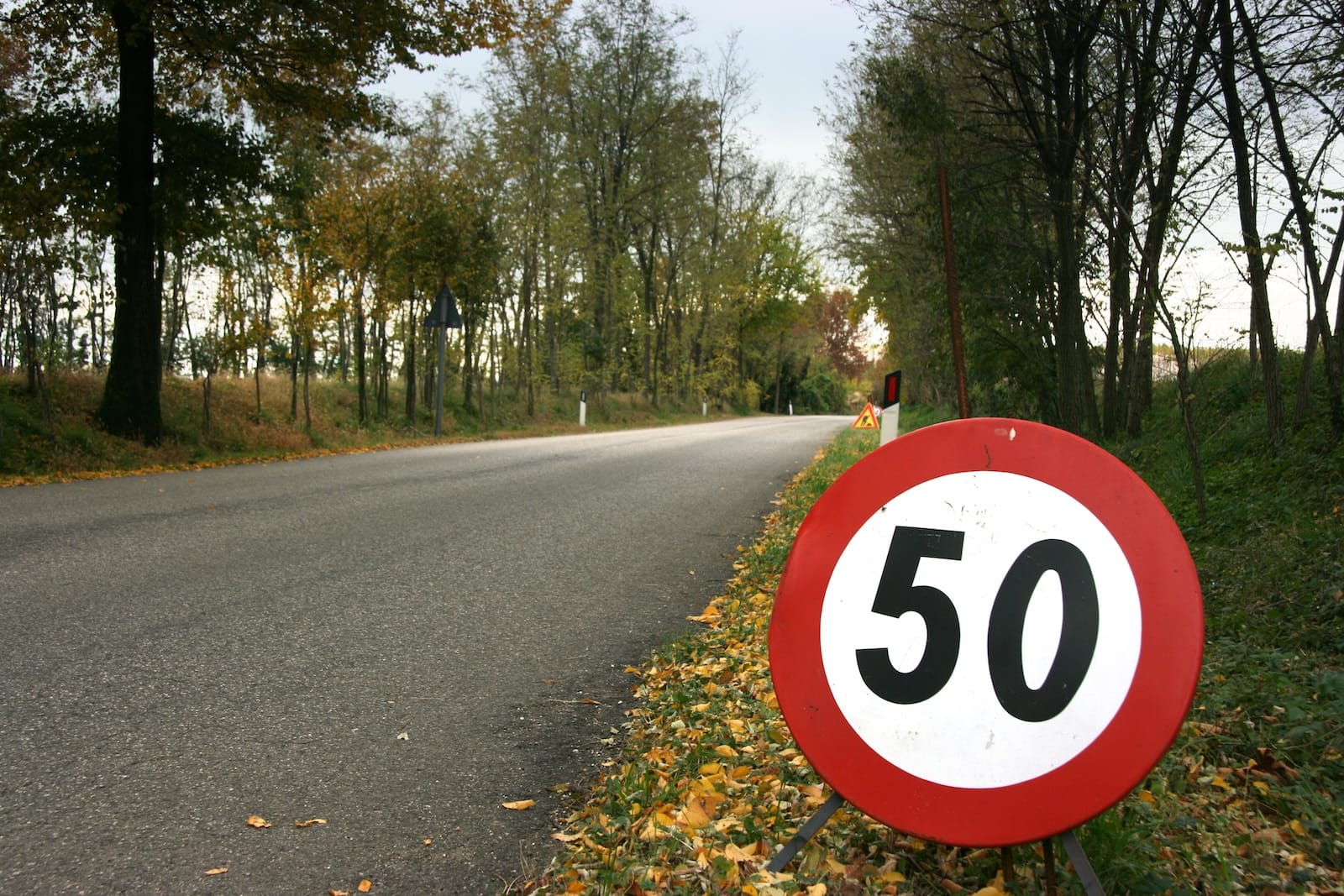 ograniczenie prędkości 50 km/h