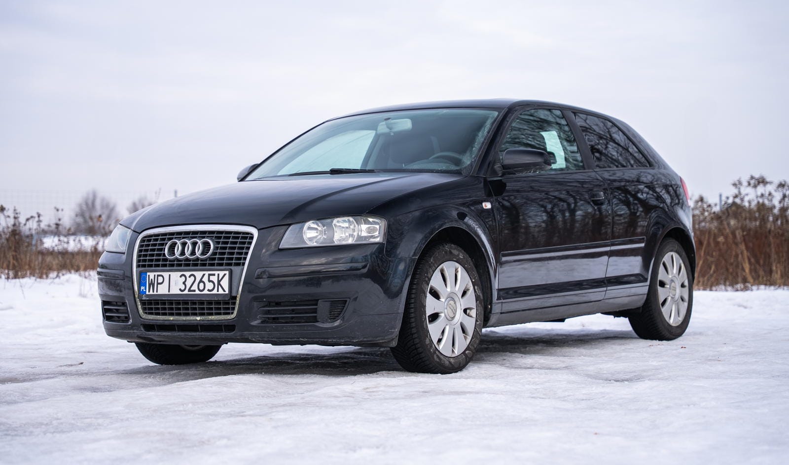 Audi A3 8P 1.6 8V