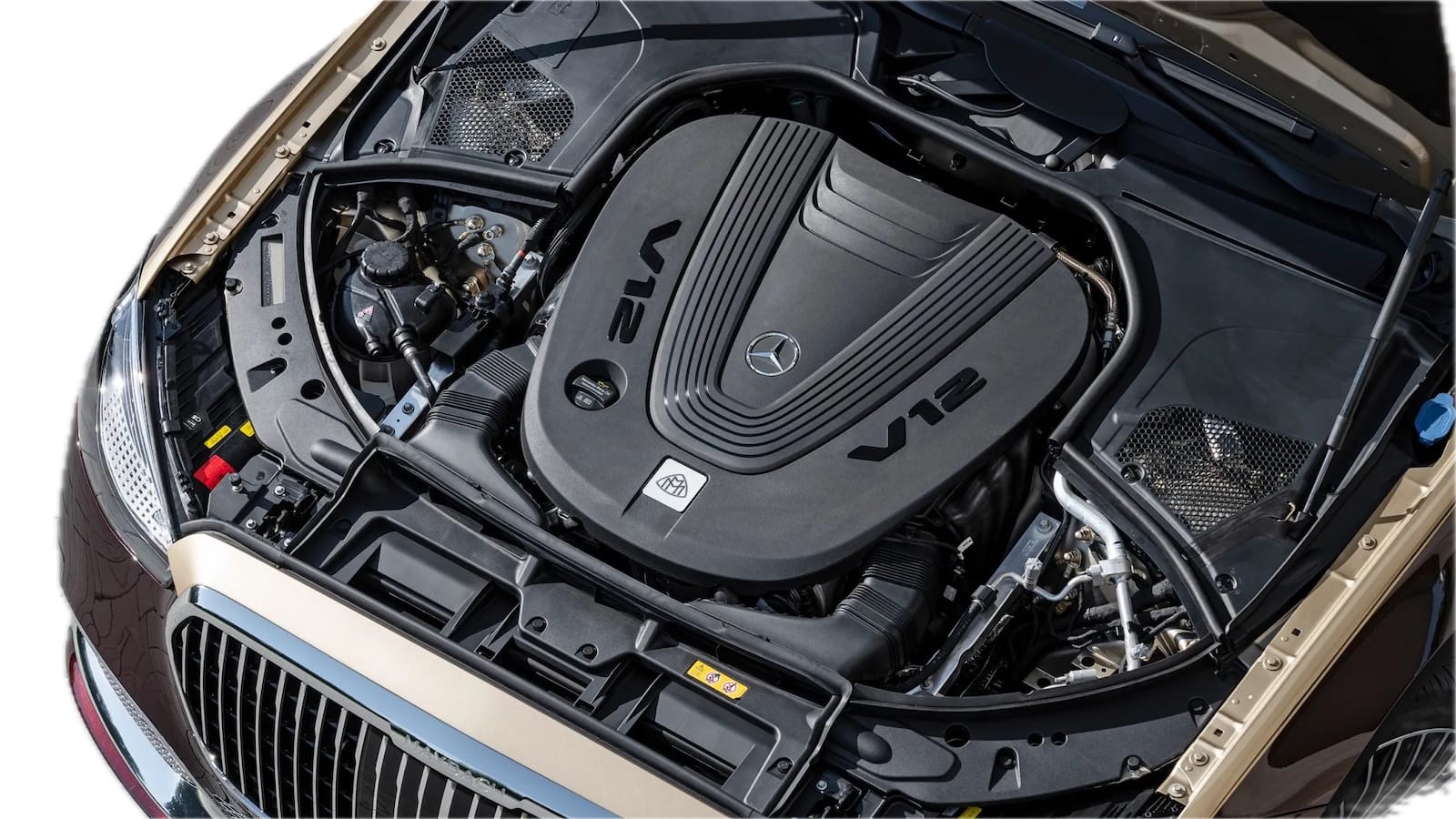 V12