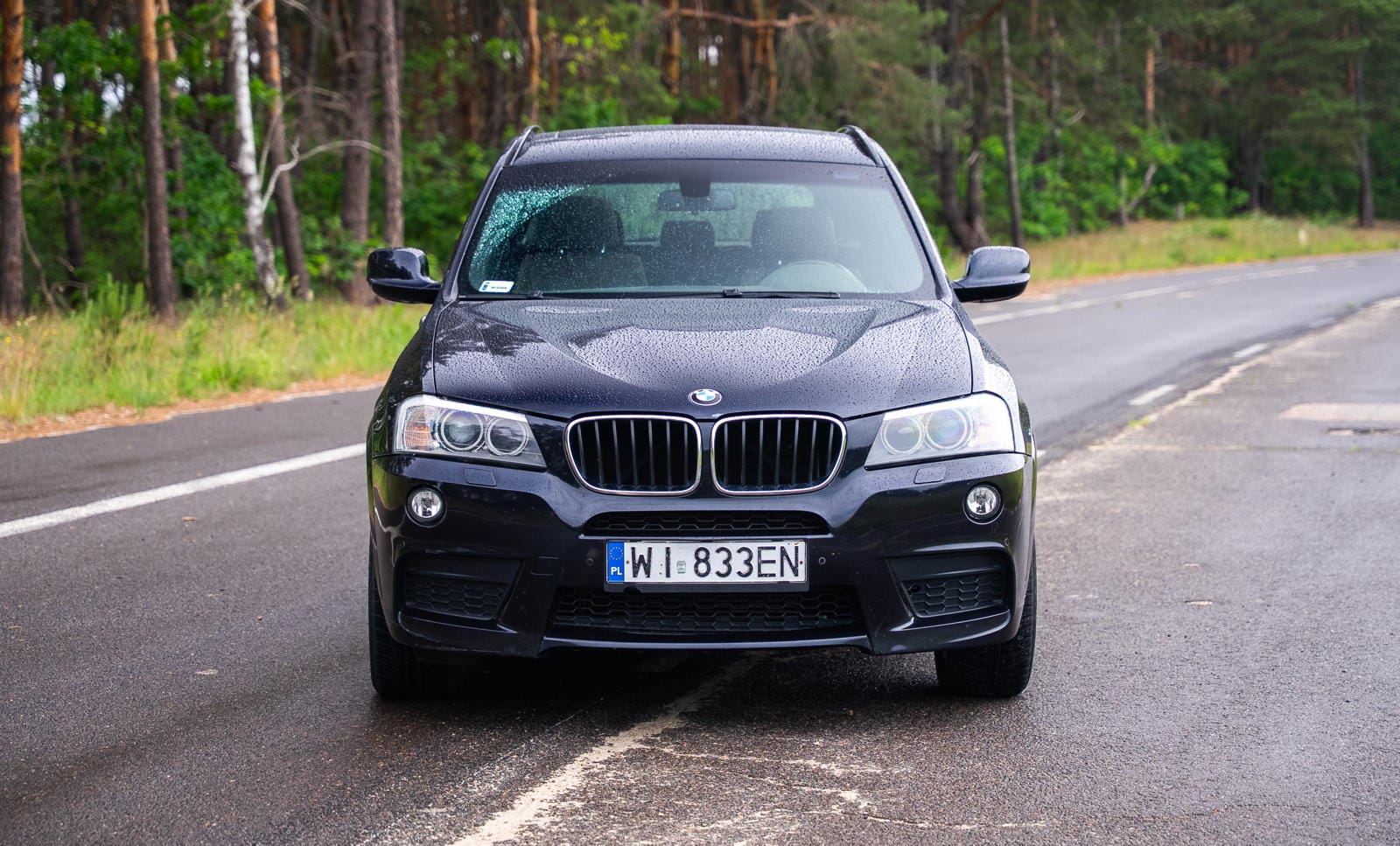 Używane BMW X3 II (F25)