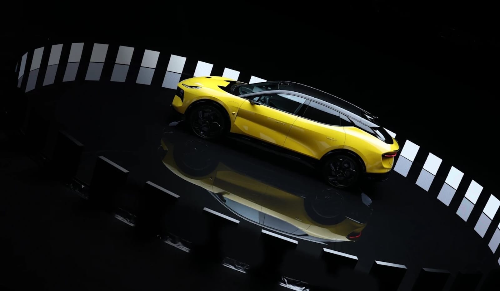 Lotus