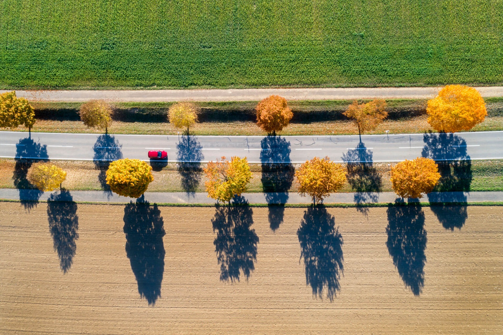 Podczas jazdy zgodnie z zasadami eco-drivingu dbasz nie tylko o środowisko, ale również o bardziej rozsądną eksploatację swojego samochodu.