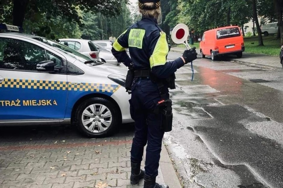 mandat straż miejska