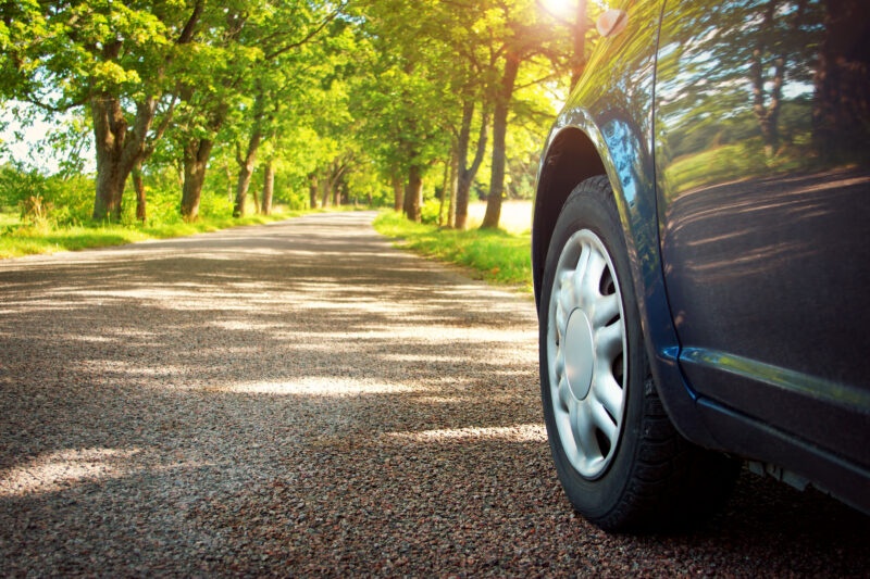 auto droga las wjazd na tereny zielone