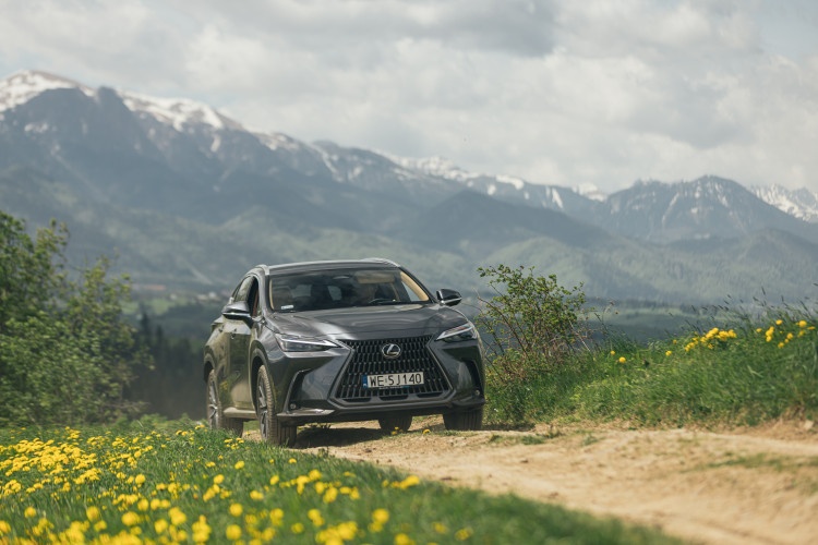Lexus NX 450h