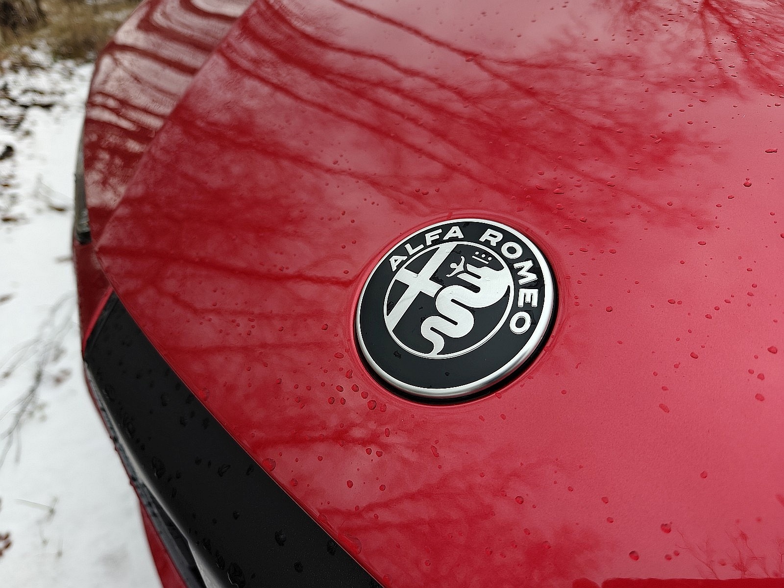 2025 Alfa Romeo Junior Elettrica - logo