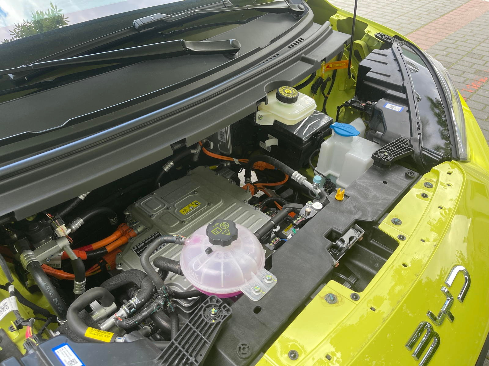 BYD Dolphin Surf