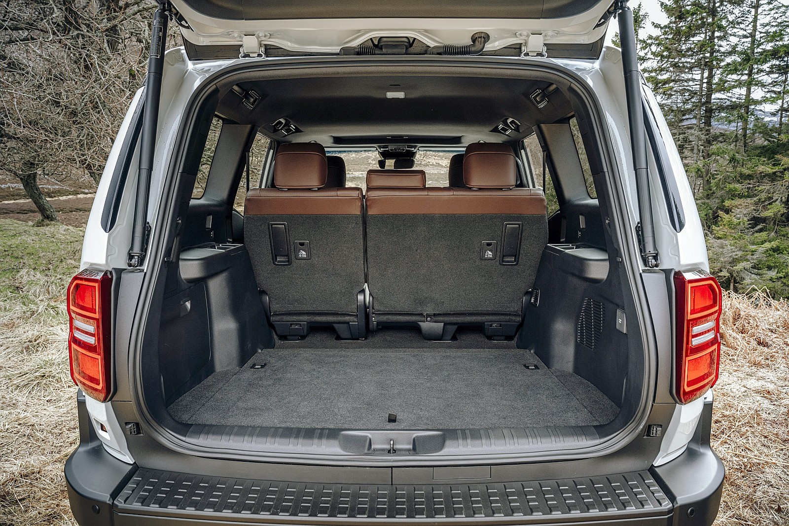 Toyota Land Cruiser Hybrid 48V