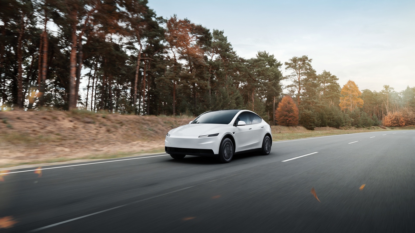 Tesla Model Y Standard