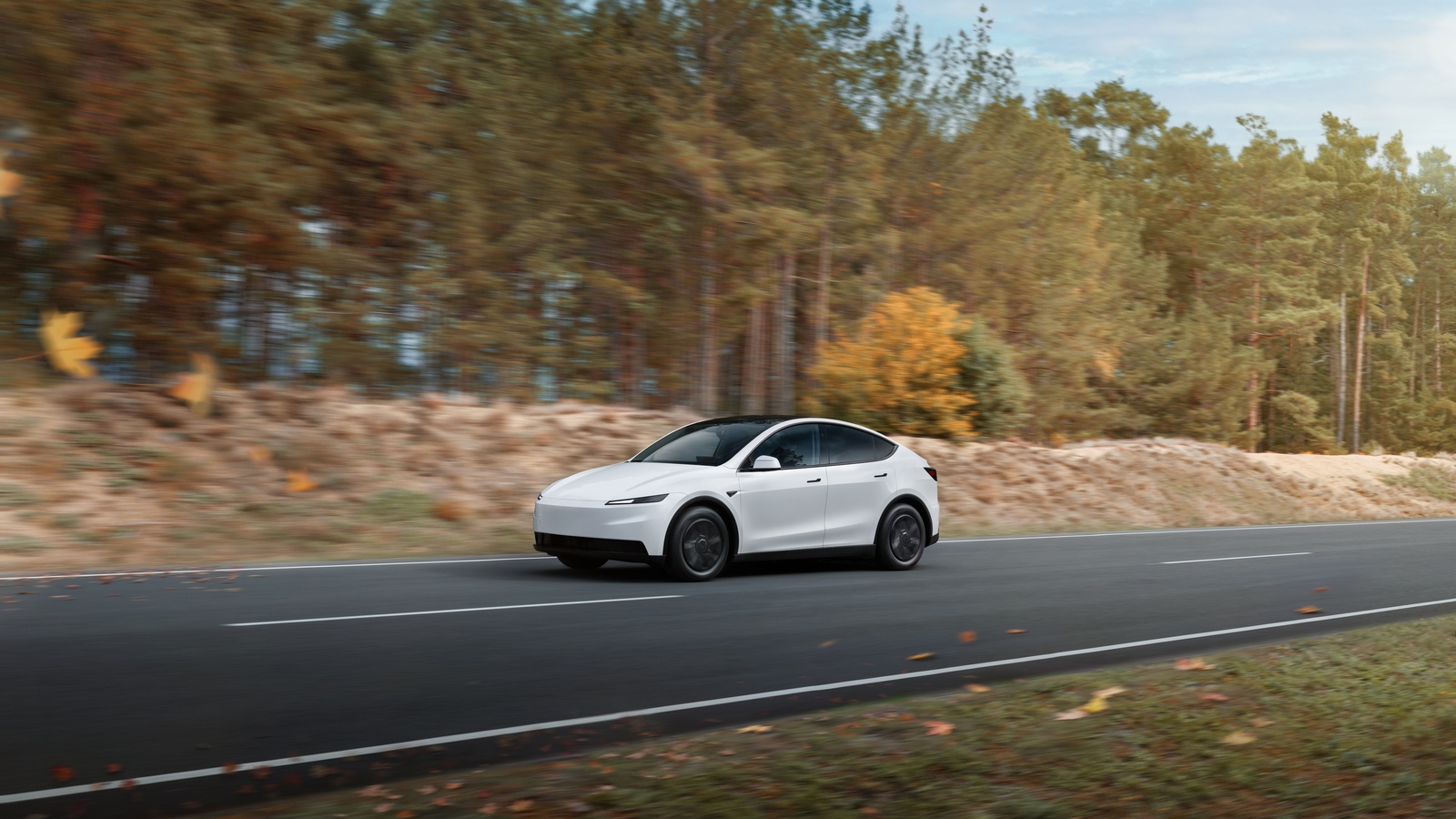 Tesla Model Y Standard