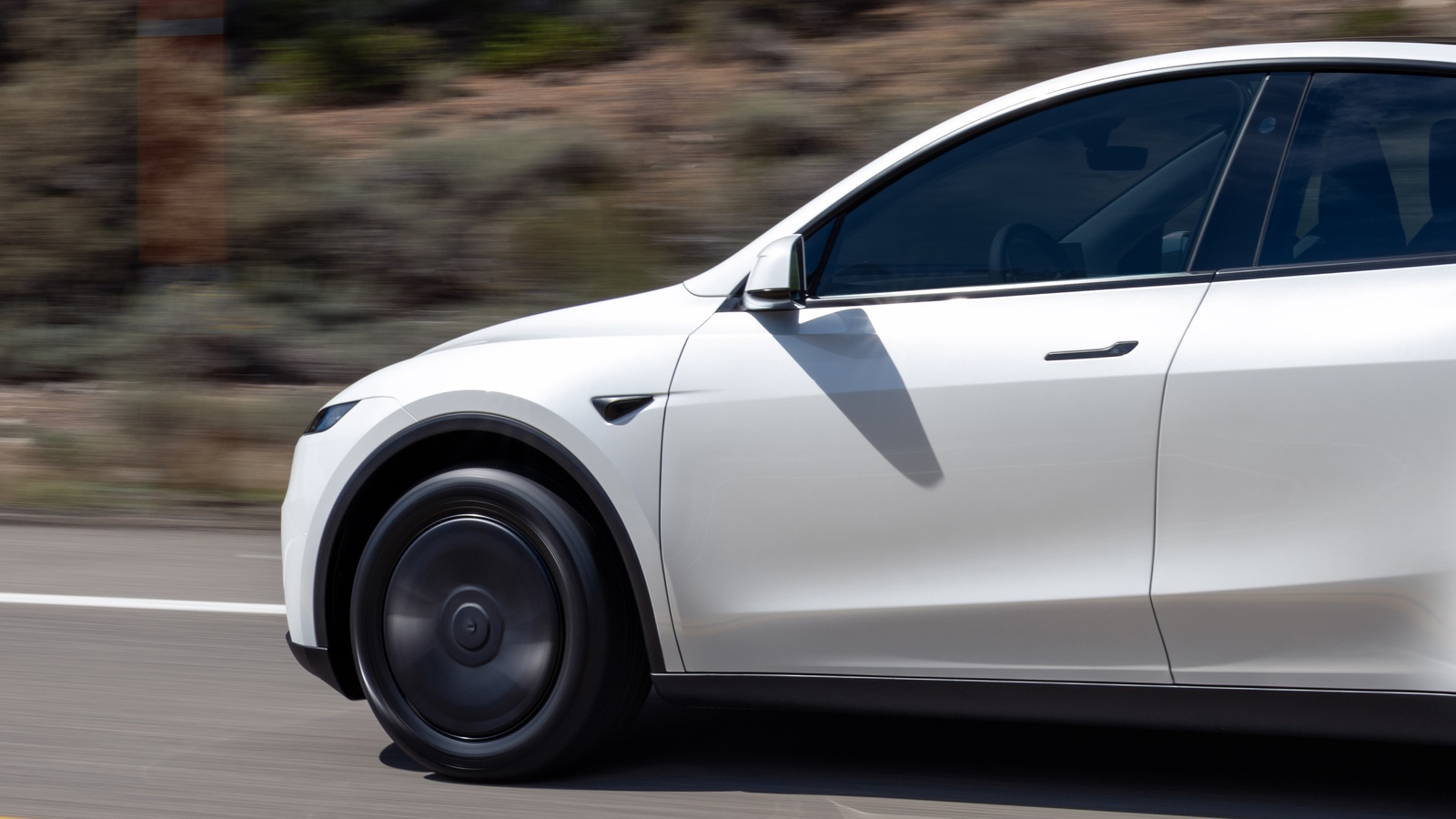 Tesla Model Y Standard