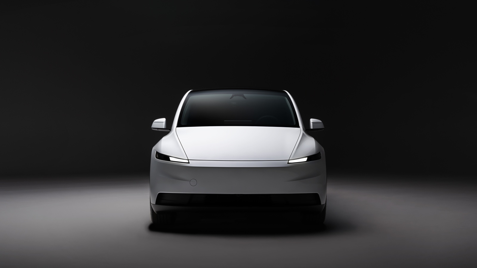 Tesla Model Y Standard