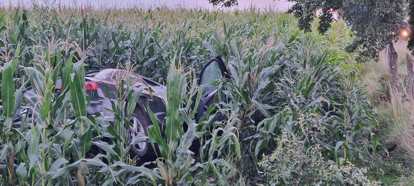 Samochód osobowy dachował i wypadł w pole kukurydzy. Fot. OSP KSRG Święciechowa