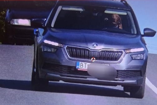 Pies za kierownicą Skody. Fot. Polícia Slovenskej republiky/Facebook