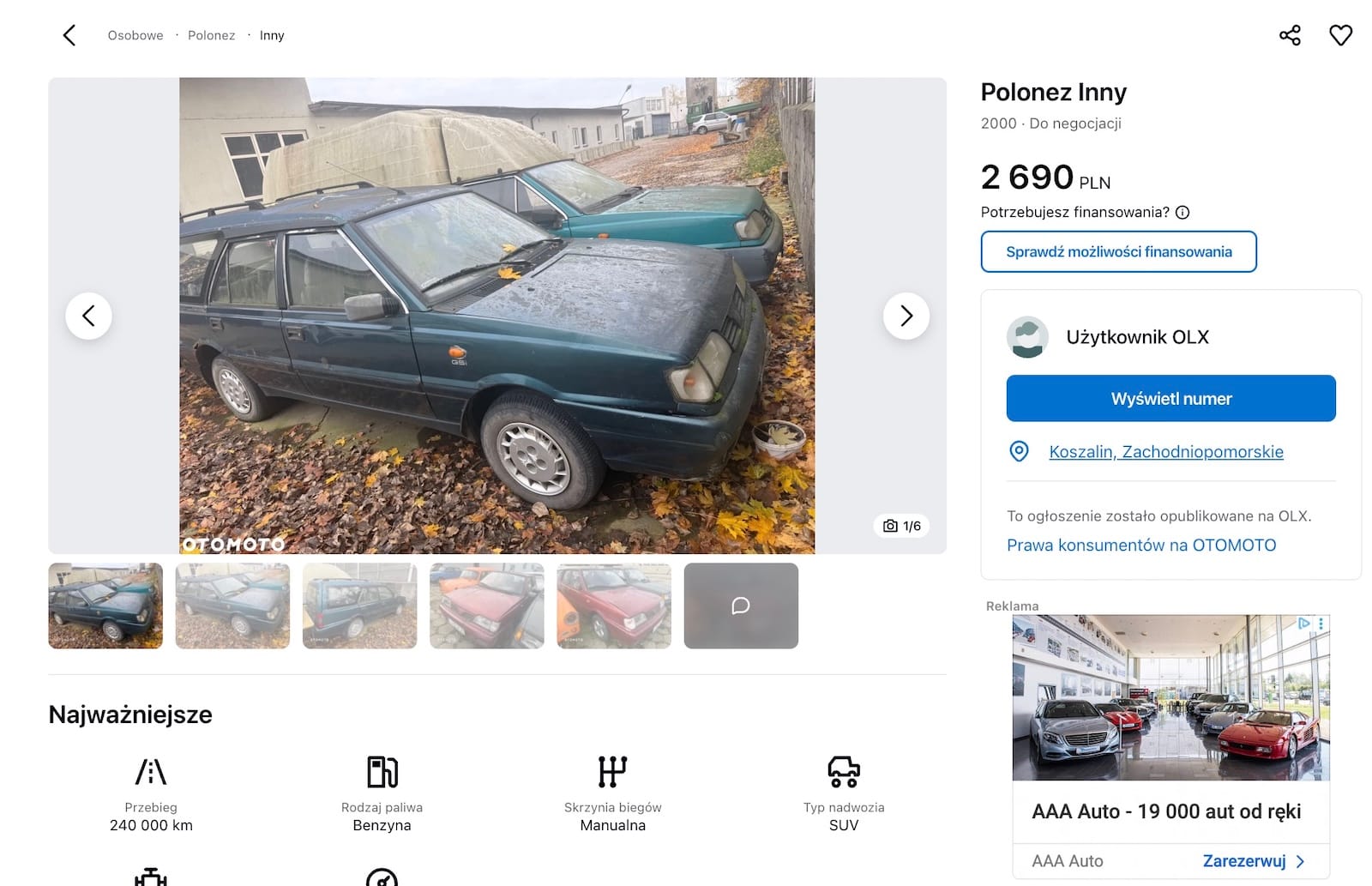 Polonez ogłoszenie