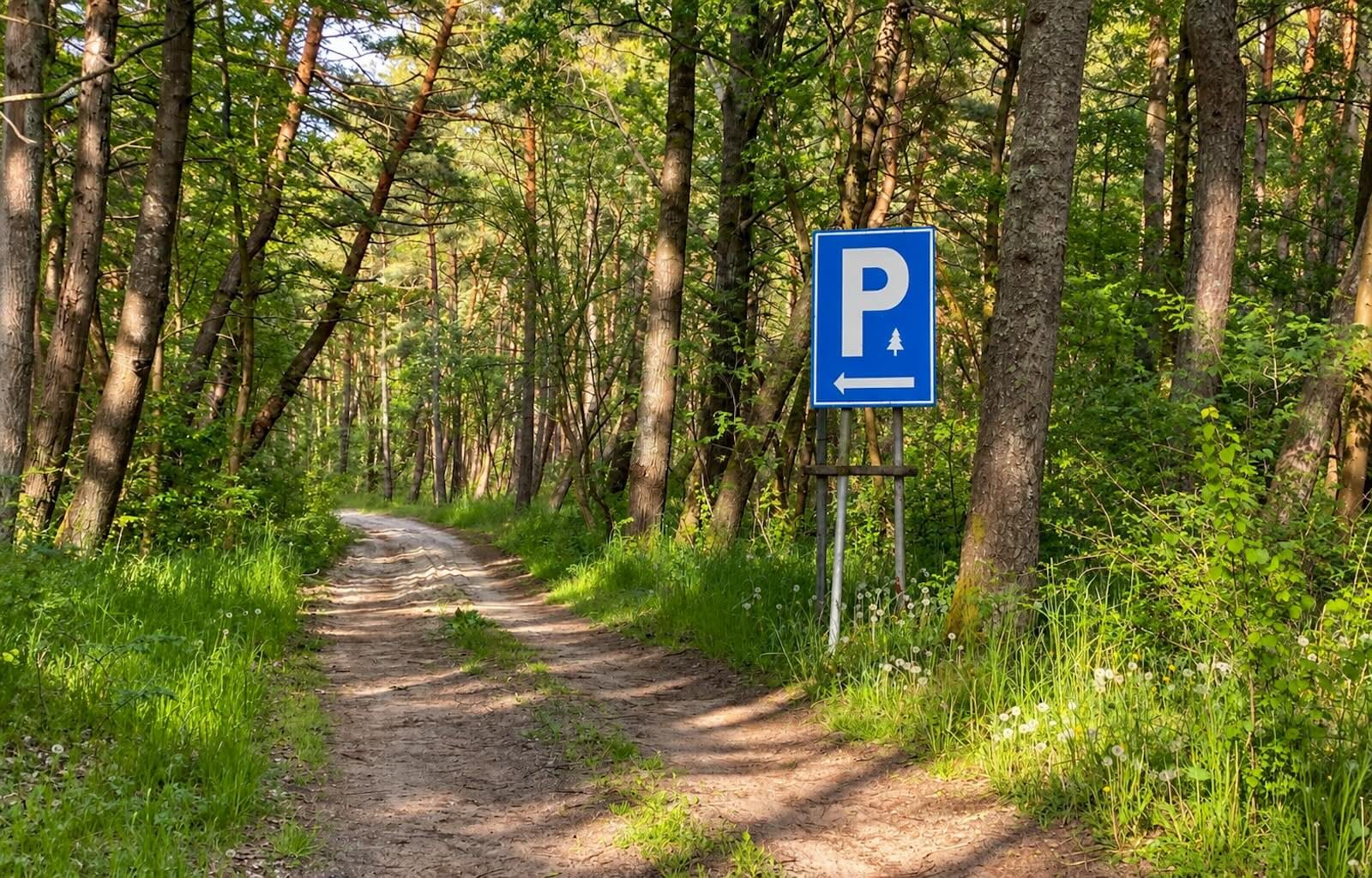 na drodze leśnej znak parking