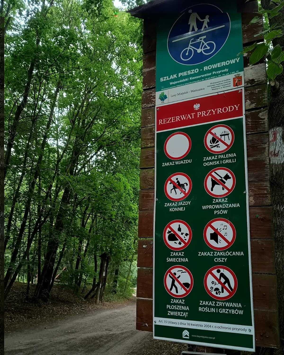 tablica znak z zakazem wjazdu do lasu