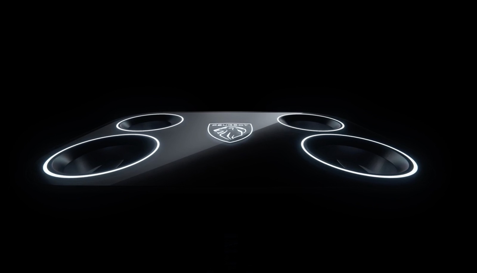 Ｐooo SZCZOTKA paneli parkietów ELECTROLUX PARKETTO PRO - Sklep