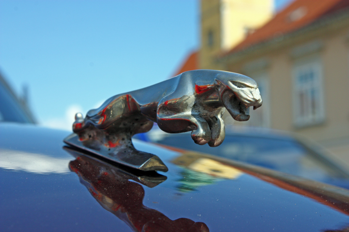 Chromowany jaguar na masce Jaguara XK8, odbicie na błyszczącej powierzchni, zamazane budynki i niebo.