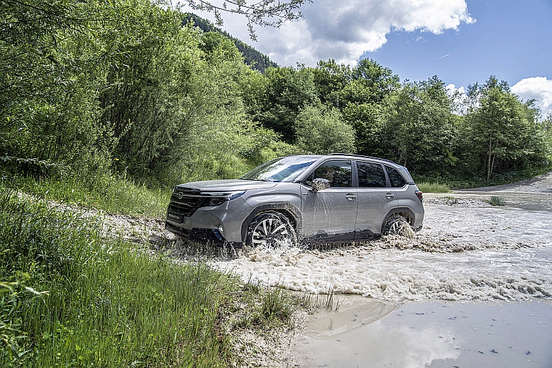 2025 Subaru Forester - bok
