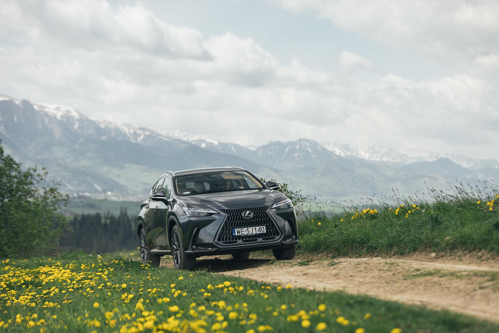 Lexus NX przód