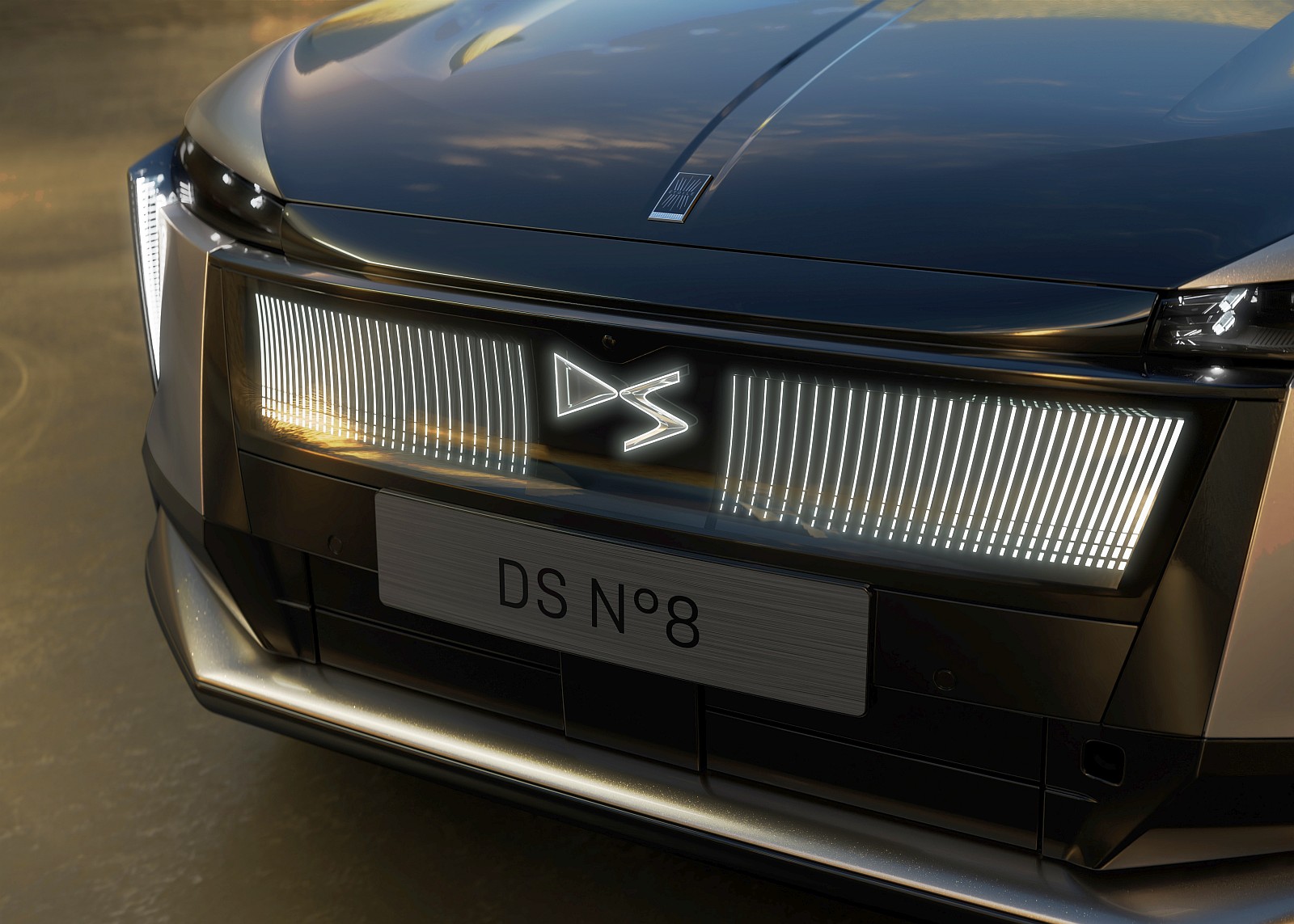 DS No8