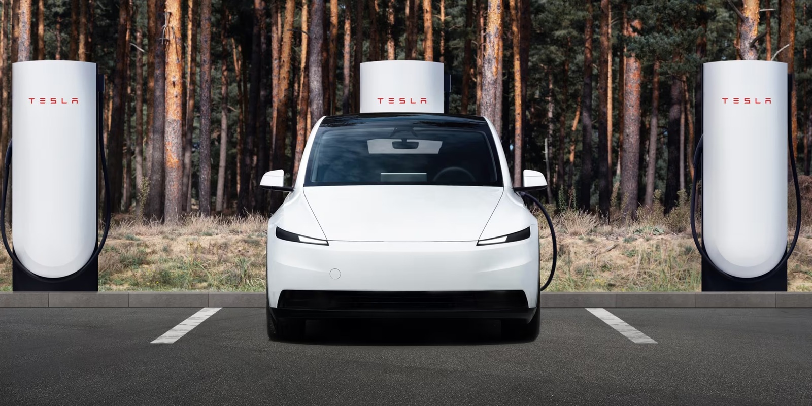 Tesla Model Y Standard