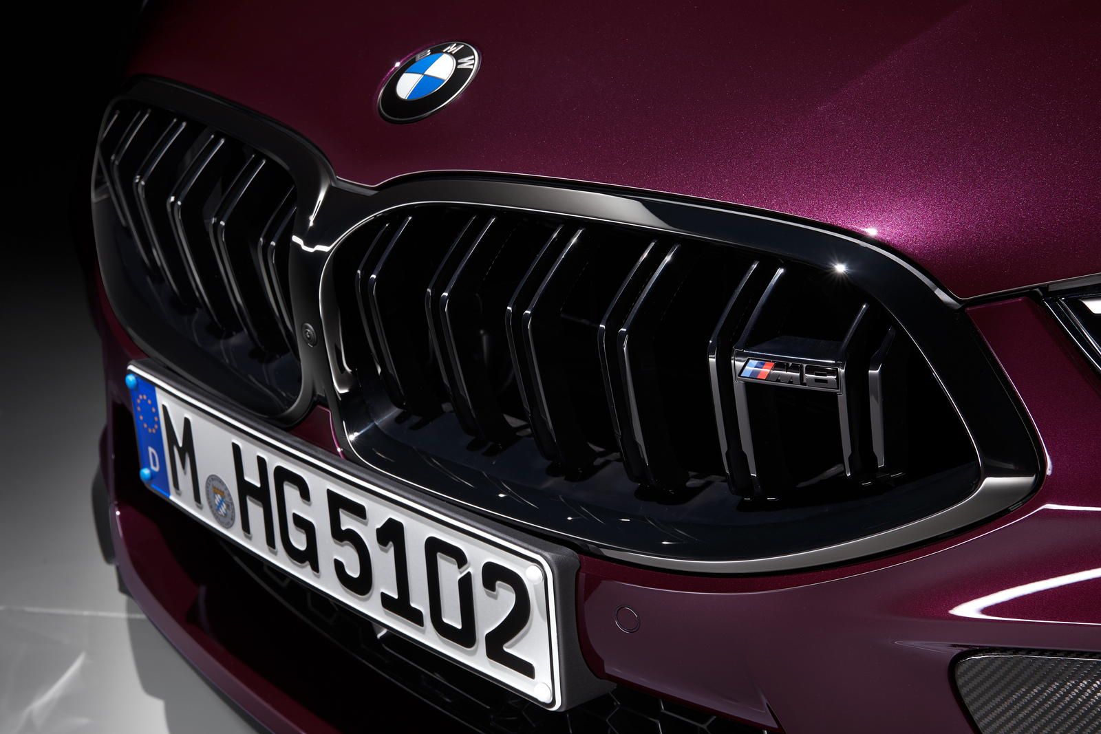 BMW grill nerki