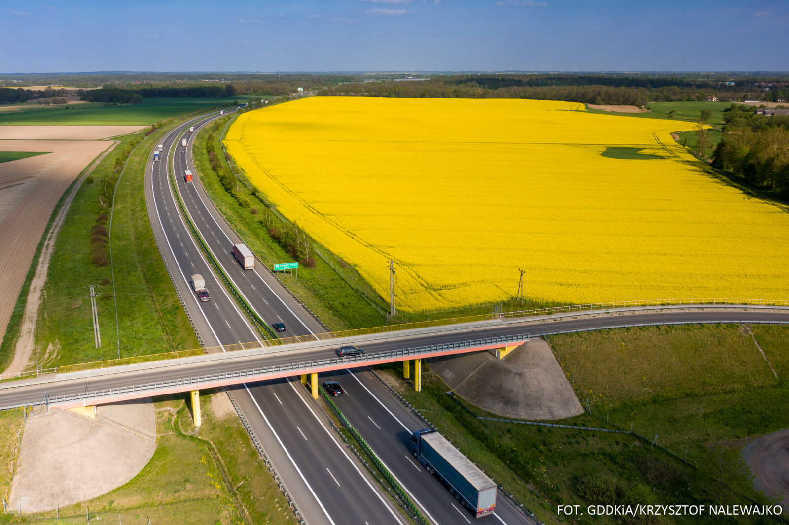 S8 okolice Oleśnicy, pola rzepaku przy drodze ekspresowej