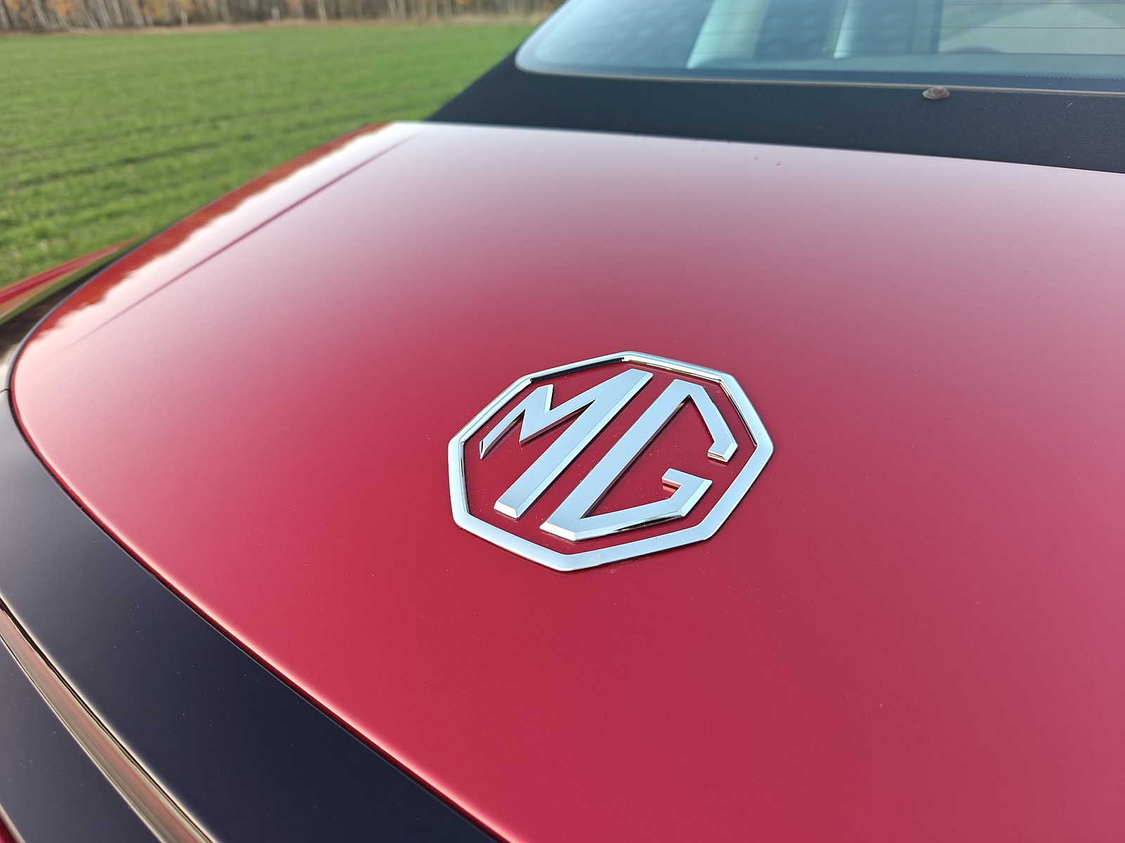 ACEA MG logo