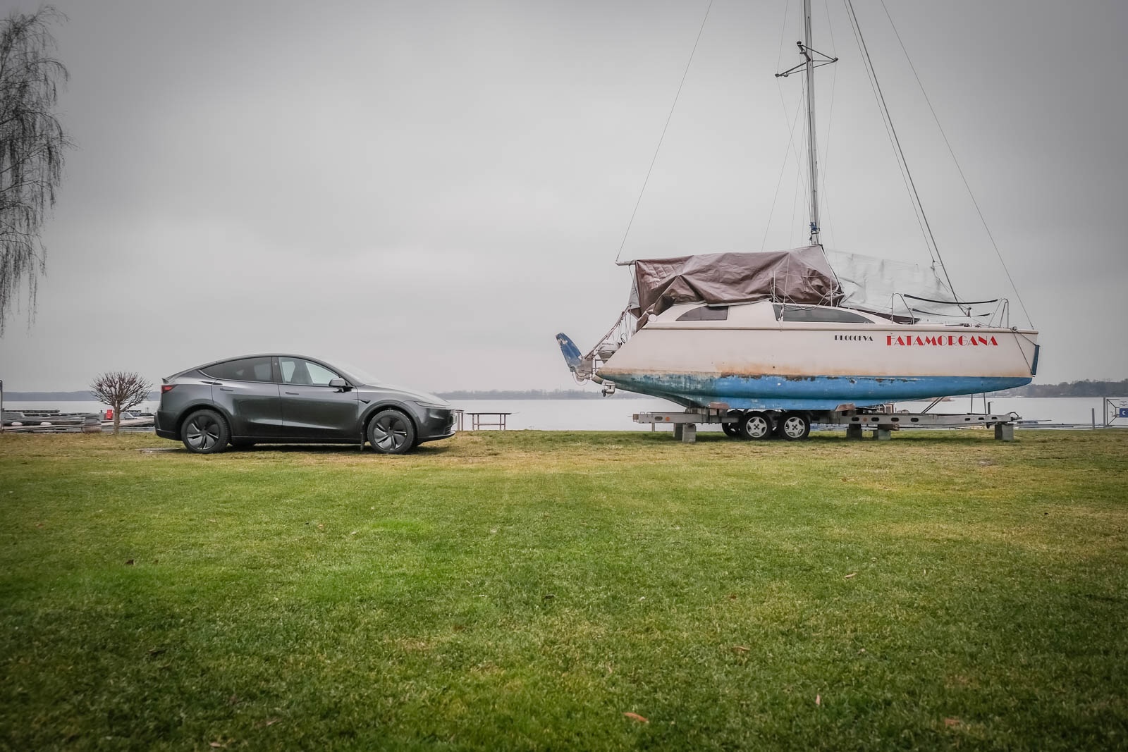 Tesla Model Y Standard