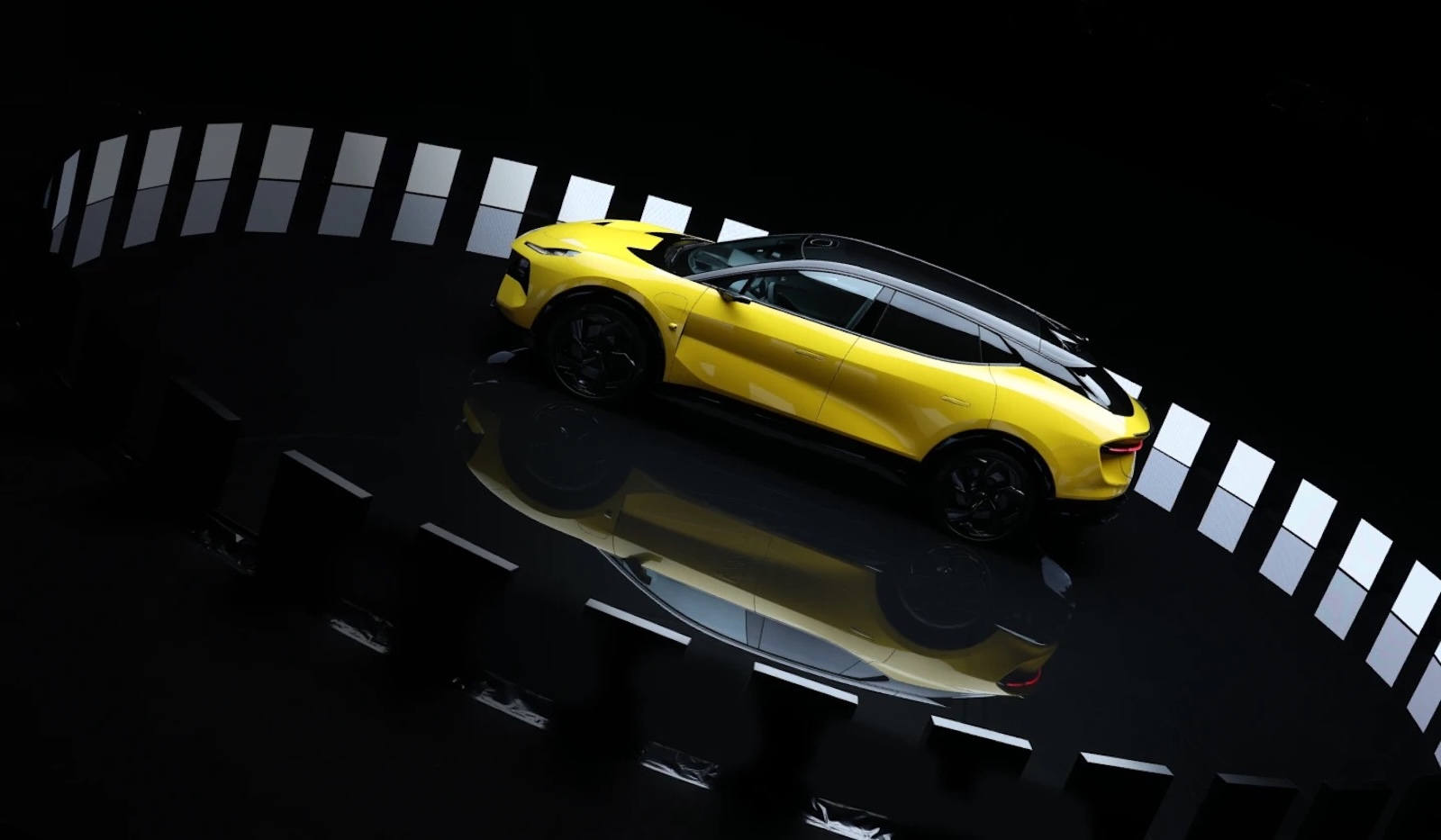 Lotus