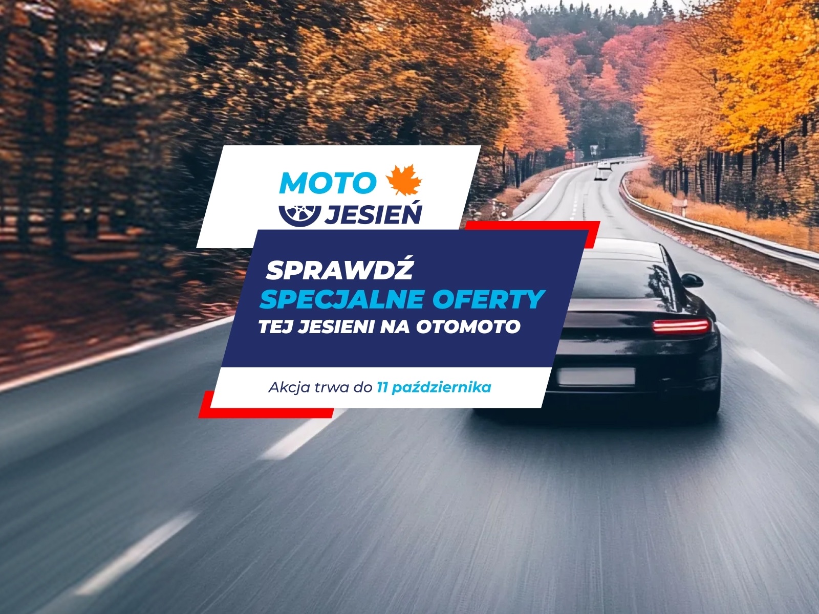 Czarny samochód na drodze wśród jesiennych drzew – promocja OTOMOTO do 11 października.