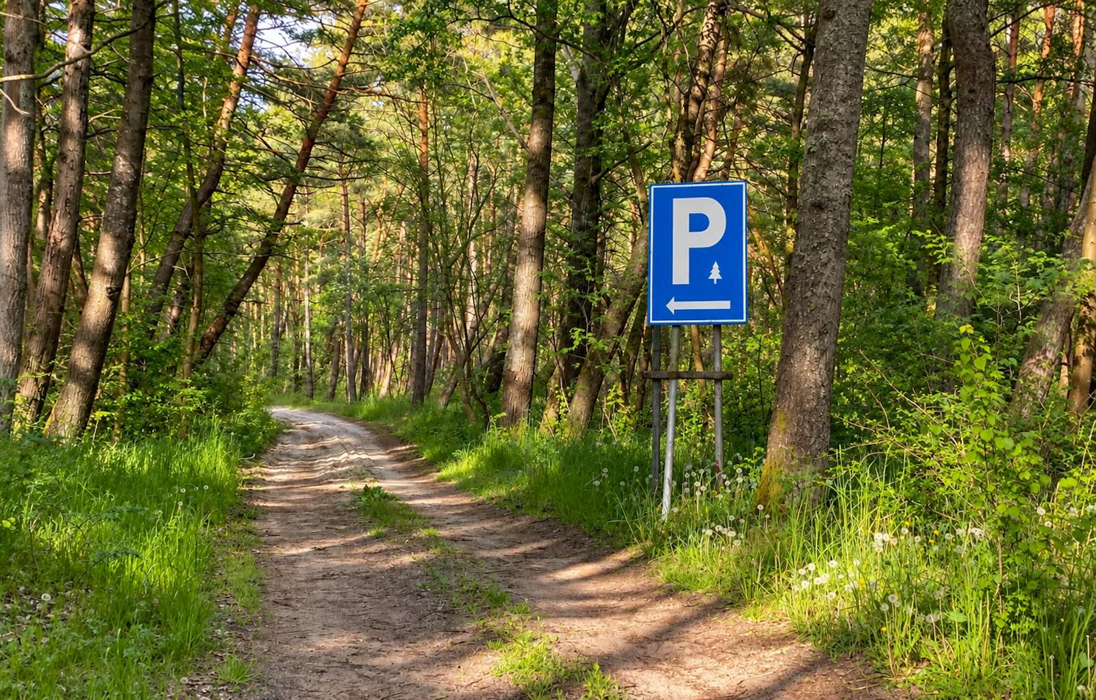 na drodze leśnej znak parking