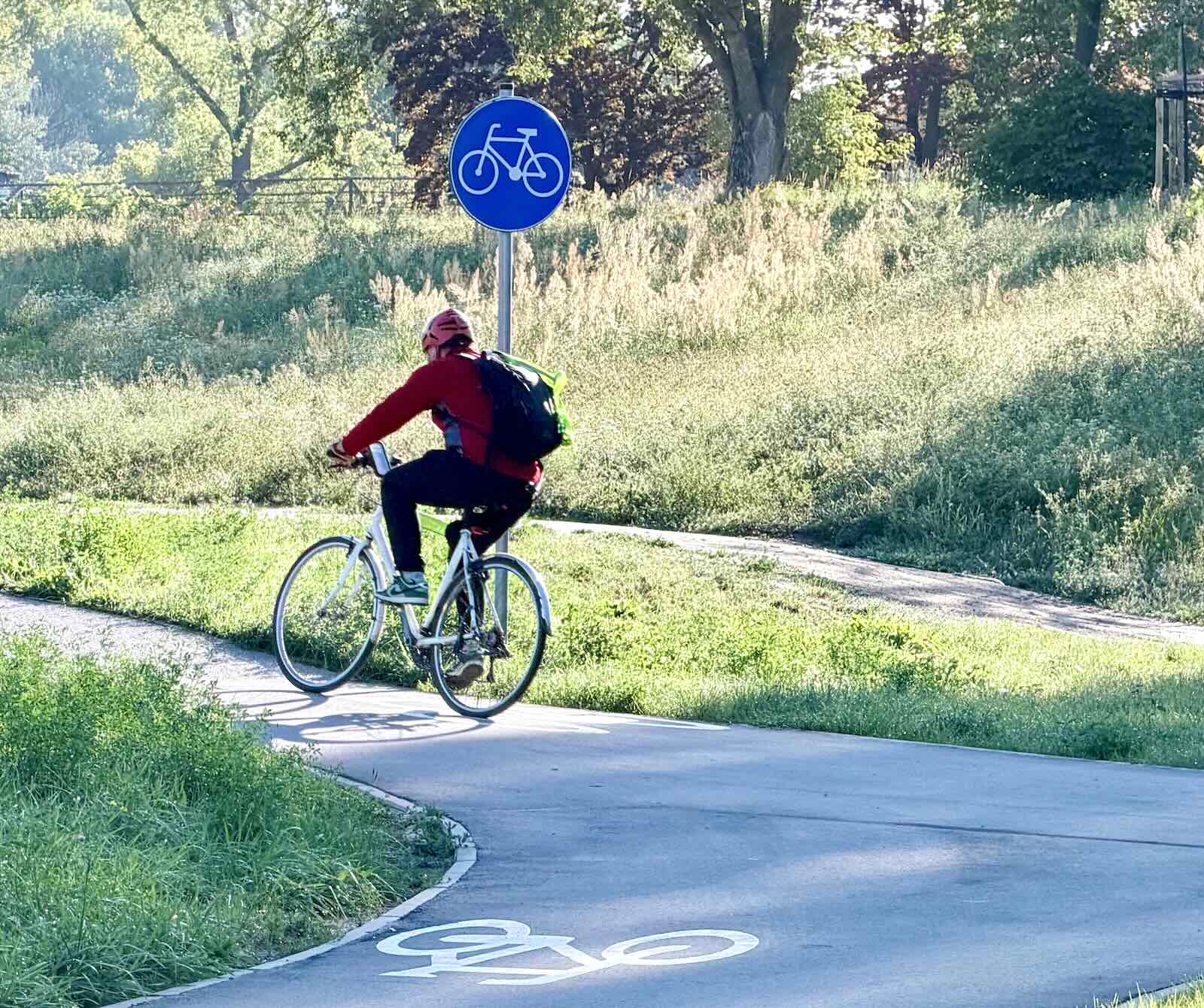 Rowerzysta w czerwonej kurtce z plecakiem jedzie ścieżką rowerową oznaczoną symbolem roweru.